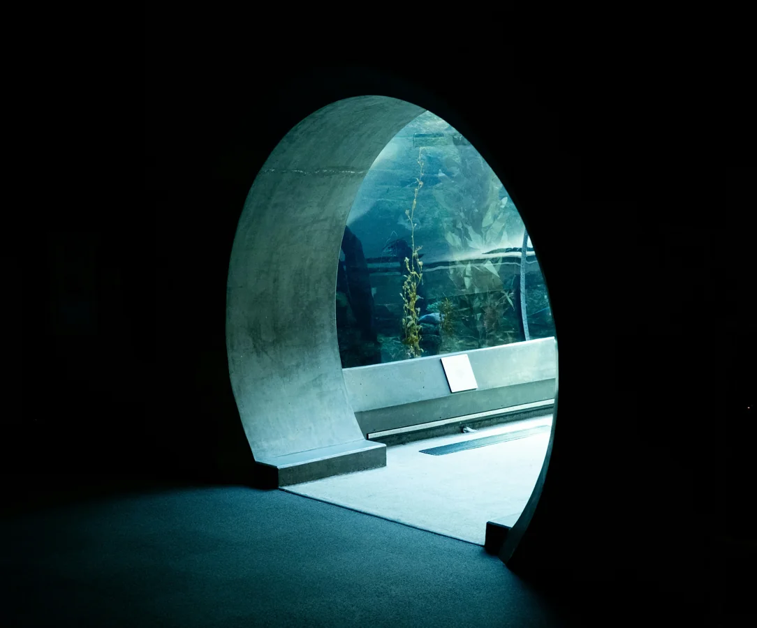 A minimalist aquascape with a single rock and open sand