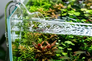 Close up of a glass lily pipe in a crystal clear planted aquarium
